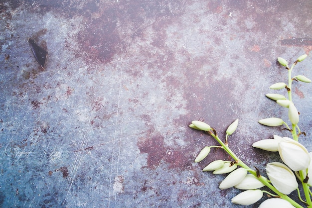 An overhead view of white flower twig on rustic background