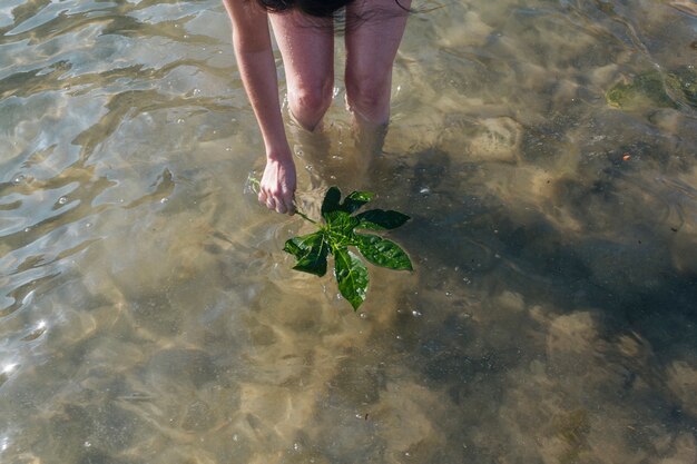 Вид сверху женщина рука лист в воде