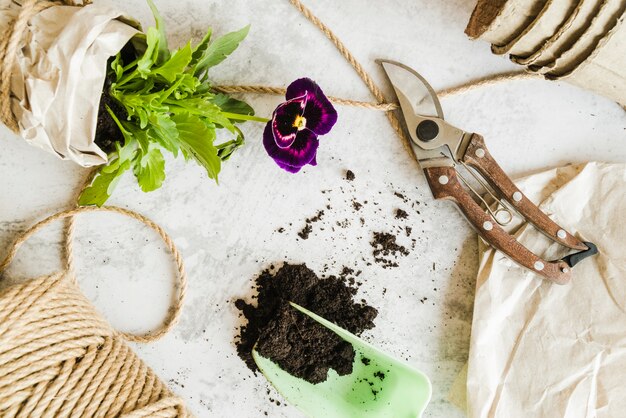 An overhead view of wrapped pansy flower pot; rope; soil and secateurs on concrete background