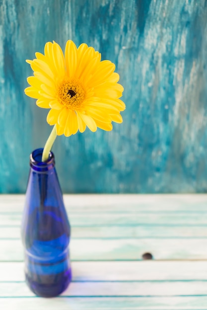 Вид сверху желтый цветок герберы в бутылке на деревянный стол