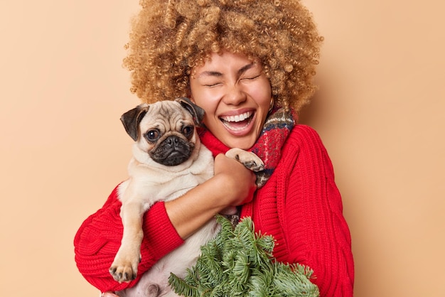 Overjoyed curly haired young woman carries pug dog and spruce branches enjoys winter holidays with favorite pet wears red jumper expresses positive emotions isolated over beige studio background