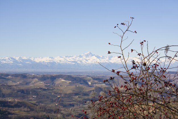Overlooking view of brown hills with a mountain range covered with snow in the background