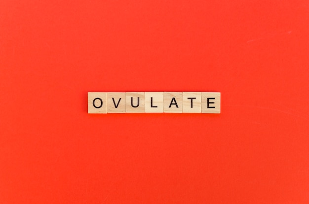 Ovulate word with scrabble letters on red background