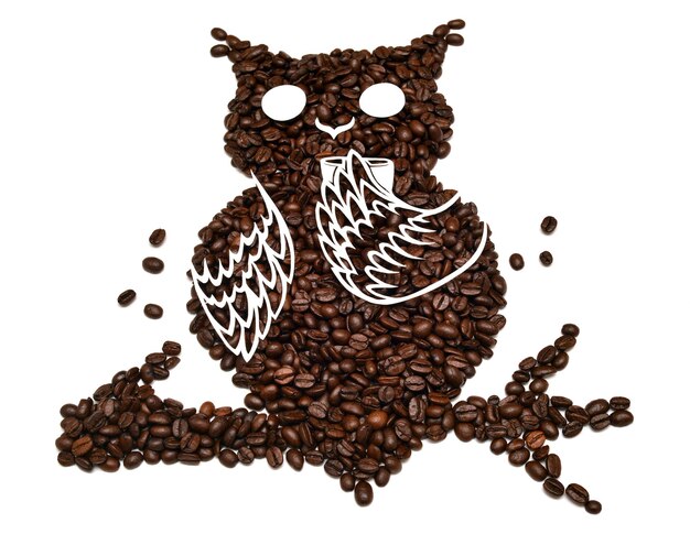 Owl from coffee beans. owl drinking a cup of coffee, isolated on white background. creative idea. flat lay, top view
