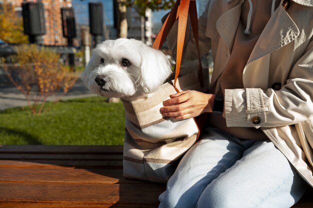 Owner carrying puppy in bag side view