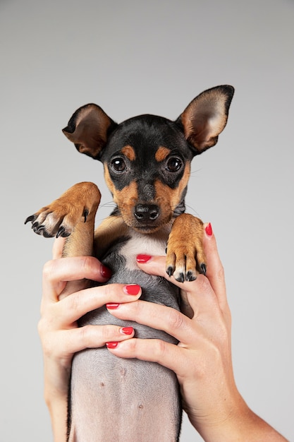 owner holding her dog up
