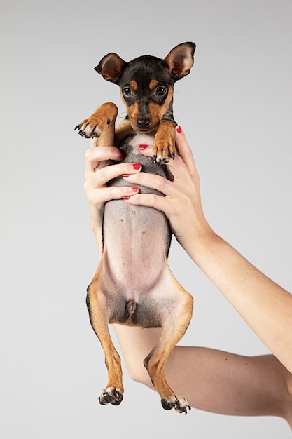 Owner holding her dog up
