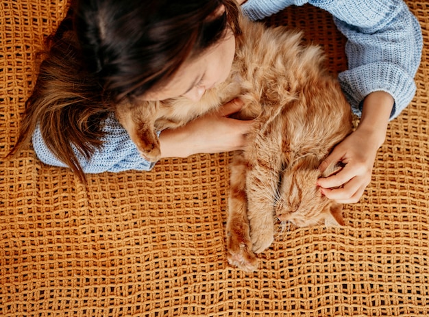 Owner petting adorable cat