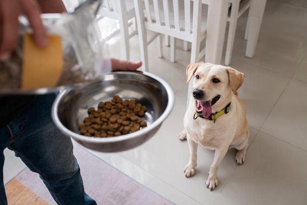 ペットの犬にボウルで食べ物を提供する所有者