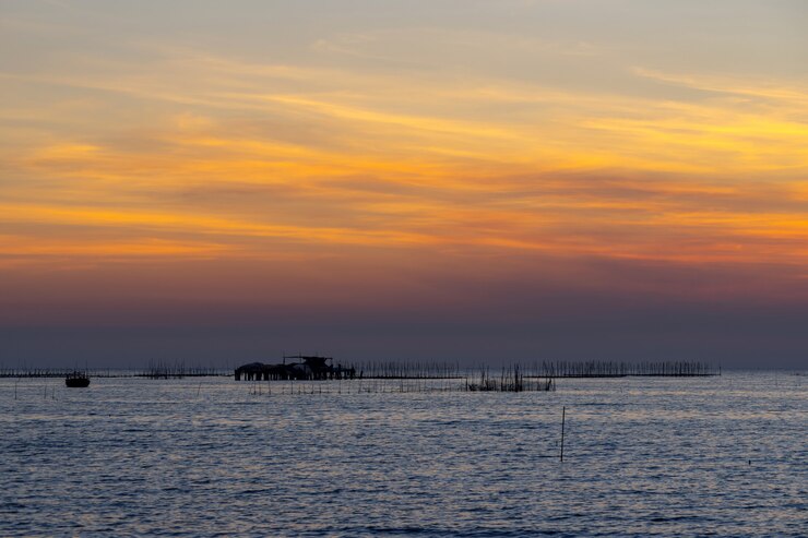 Free Photo oyster farm in the sea and beautiful sky sunset background 