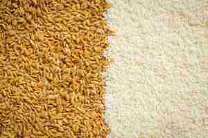 Free photo paddy rice and white rice wallpaper details