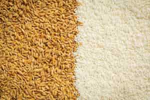 Free photo paddy rice and white rice wallpaper details