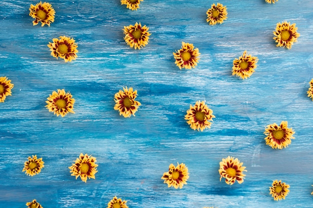 Foto gratuita dipinto di blu con texture di sfondo con fiori di crisantemo giallo