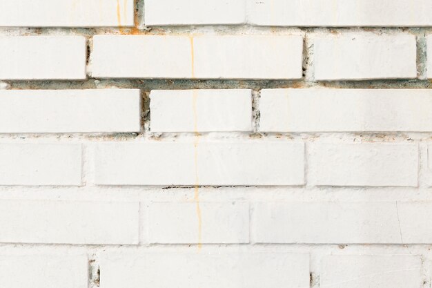 Painted brick wall