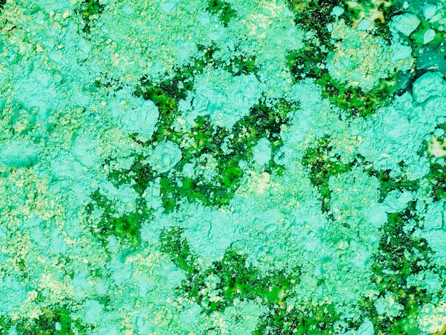 Free photo painted colourful green water with powder