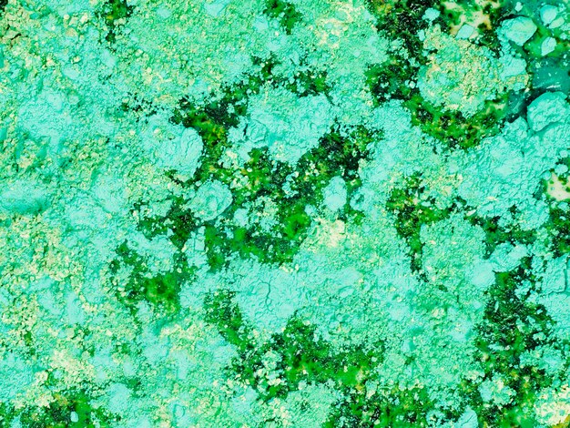 Painted colourful green water with powder