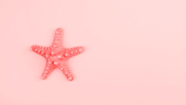 Painted coral starfish on pink background