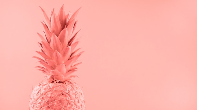 Painted pink pineapple on colored backdrop