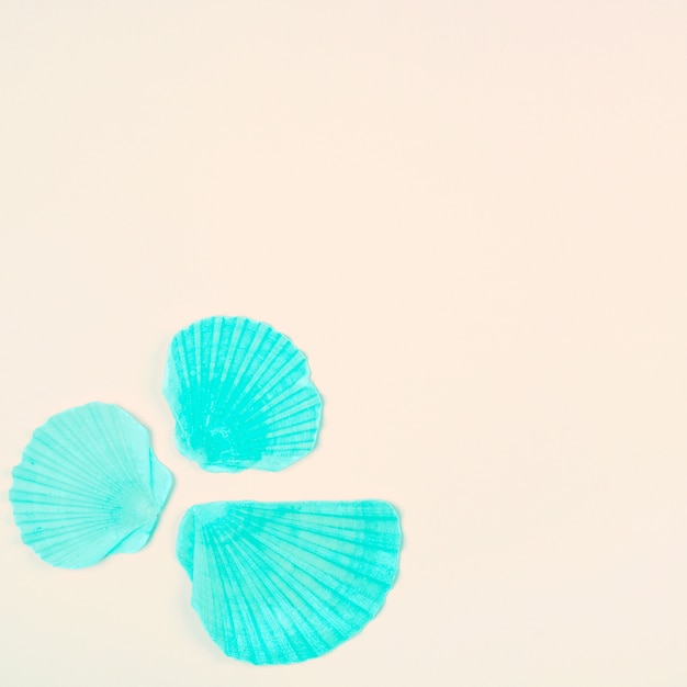 Painted turquoise scallop seashell on the corner of the beige background