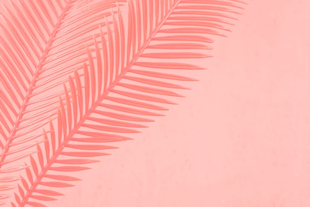 Painted two palm leaves against coral background