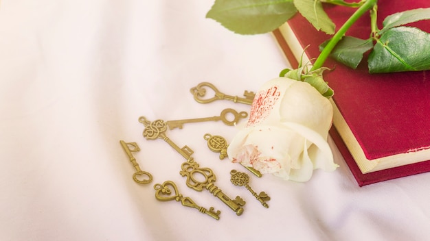 Painted white rose on book with small keys 