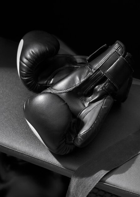 Free photo pair of gloves for boxing sport