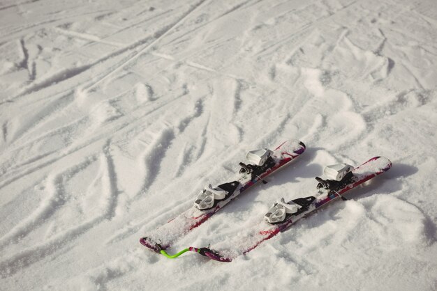 Pair of skis in snow