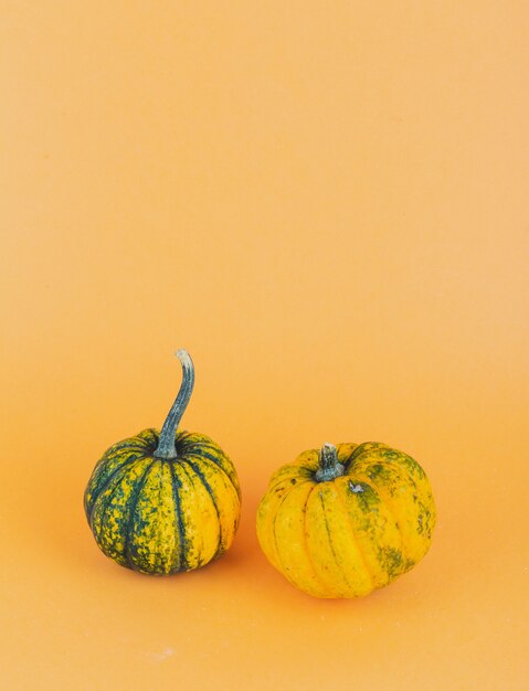 A pair of small pumpkins on yellow background