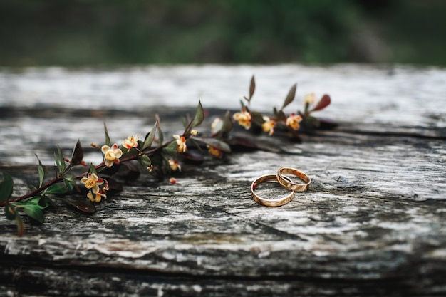 Pair of wedding rings lie on a wooden surface near a blossom branch