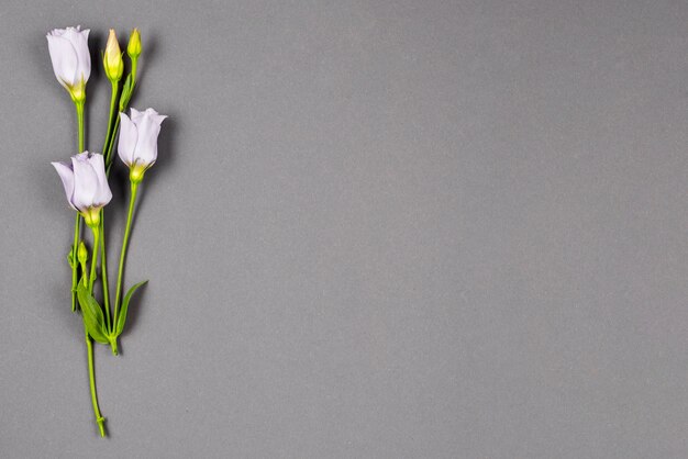 Pale flowers set vertically at left