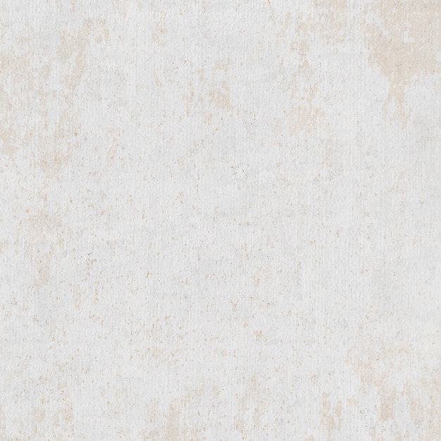 Free photo pale gray rough plaster