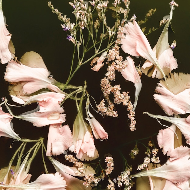 Pale pink flowers in black water