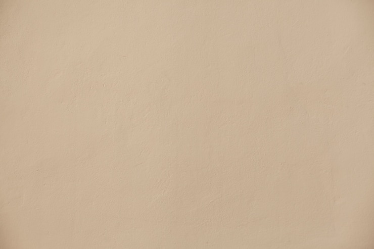 Free Photo pale smooth wall texture