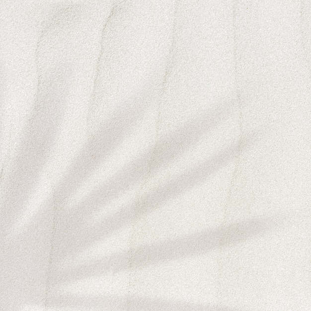 Palm leaf shadow on a sand textured background with copy space