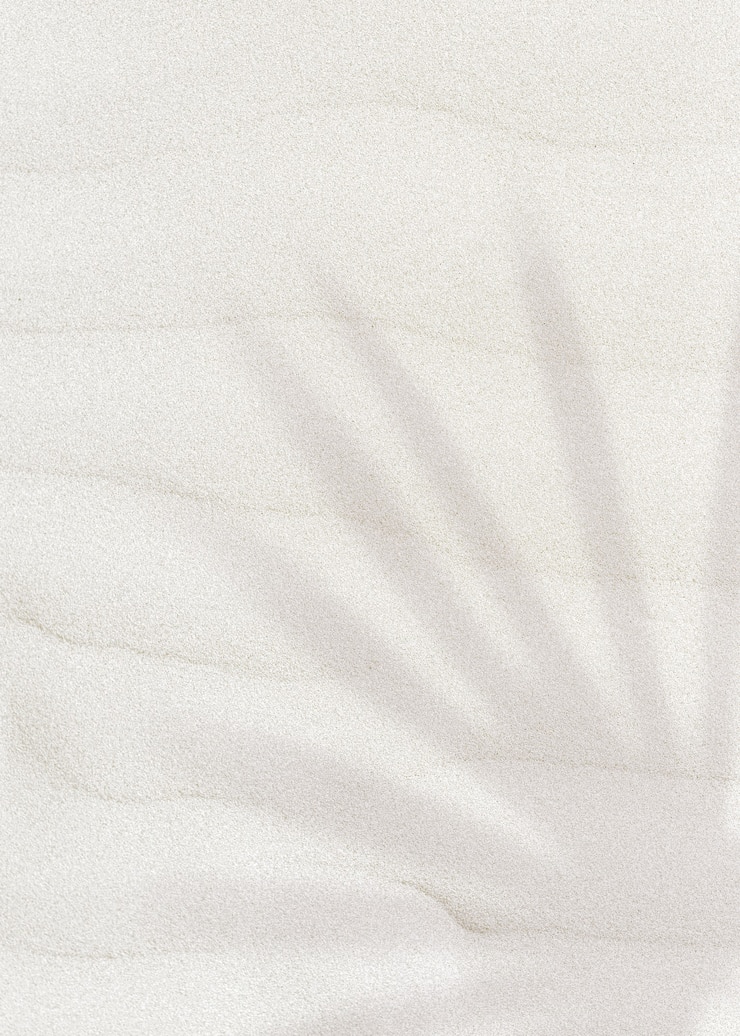 Free Photo palm leaf shadow on a sand textured background with copy space