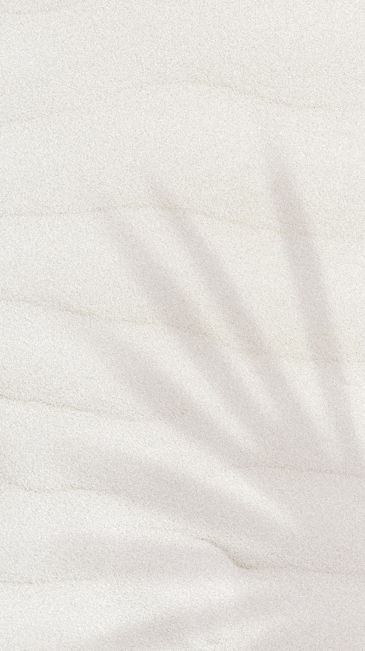 Free Photo palm leaf shadow on a sand textured background with copy space