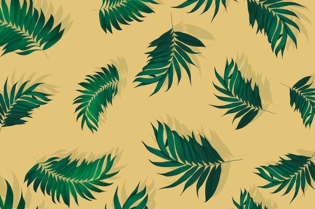 Palm leaves background composition