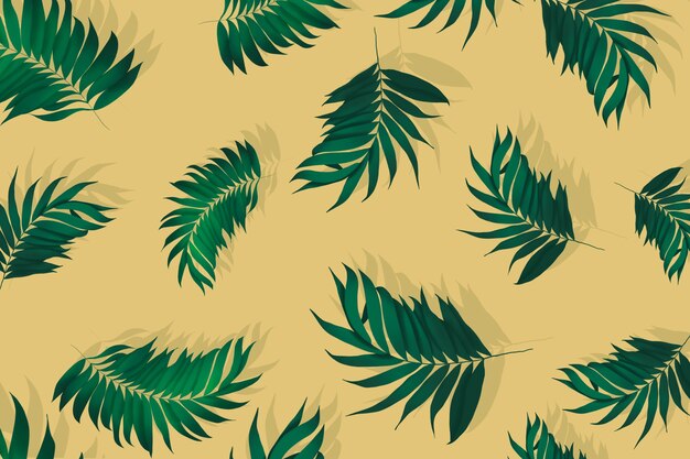 Фоновая композиция из пальмовых листьев