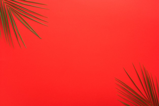 Palm leaves at the corner of bright red backdrop