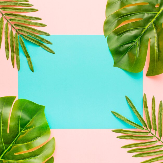 palm leaves on a pastel colorful background and a sheet of paper