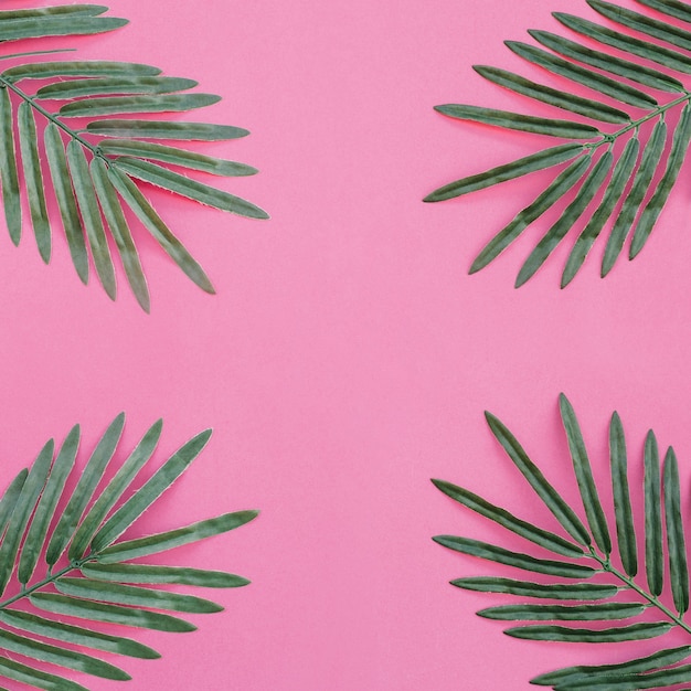 Пальмовые листья на розовом фоне расположены на четырех углах