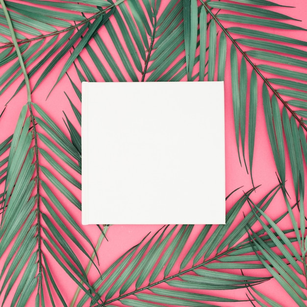 Palm leaves on pink background with blank sign