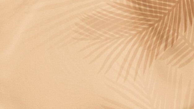 Palm leaves shadow on a beige background