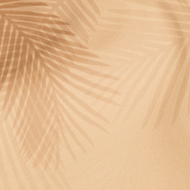 Free photo palm leaves shadow on a beige