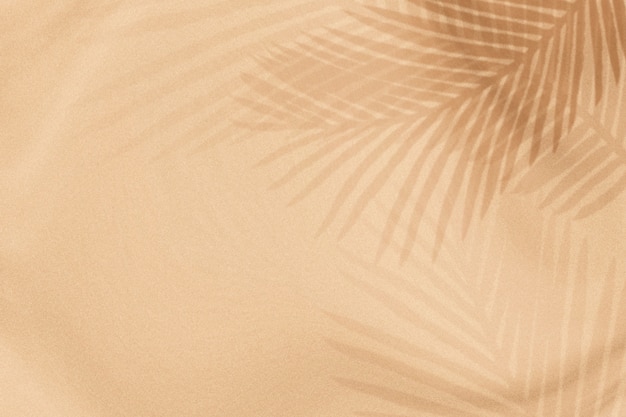 Palm leaves shadow on a beige