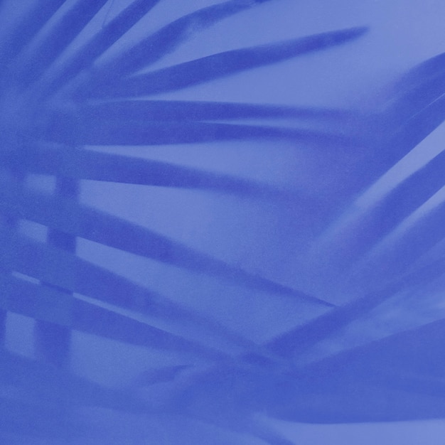 Free photo palm leaves shadow on blue background