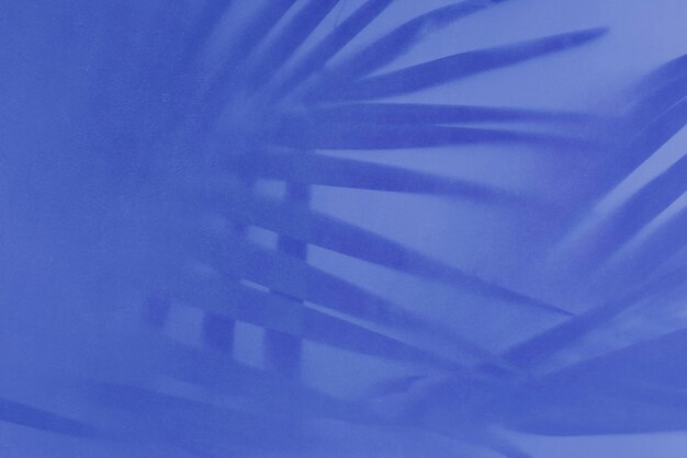 Тень пальмовых листьев на синем фоне