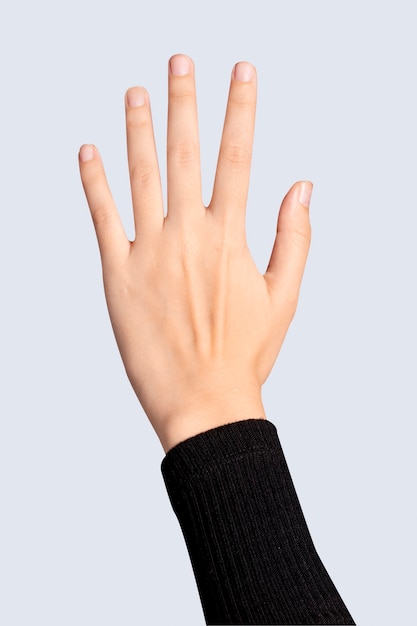 Palm scan gesture biometric security technology