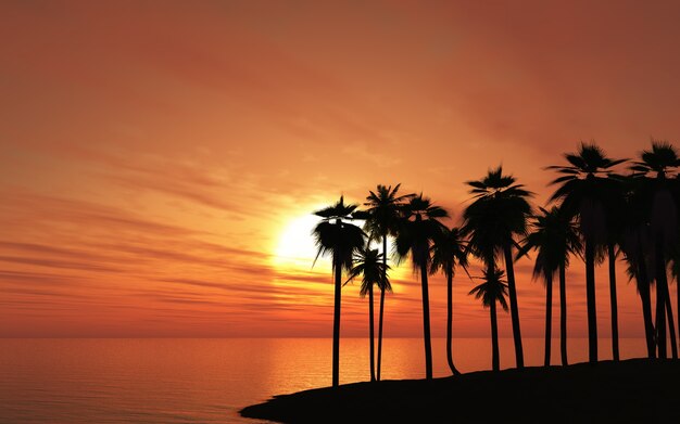Palm tree in a beach at sunset