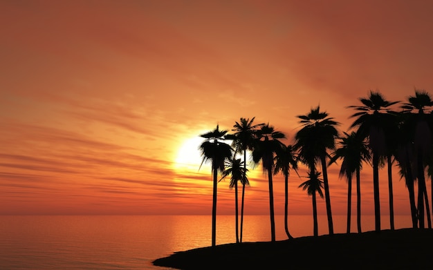 Palm tree in a beach at sunset